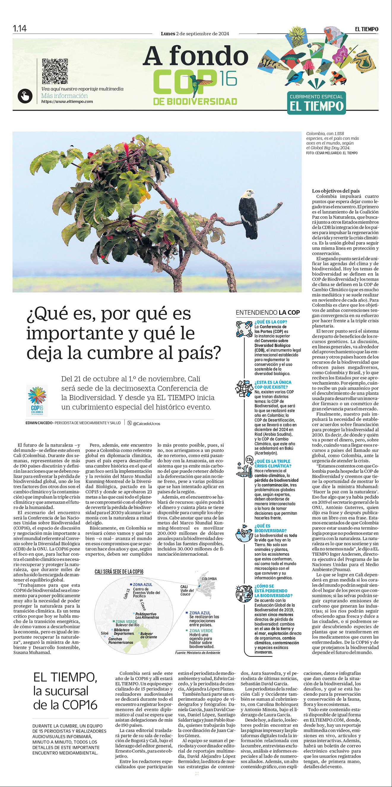 De a poco, la deforestación va destruyendo el bosque virgen de la Amazonia, sin que nada pueda frenarla.