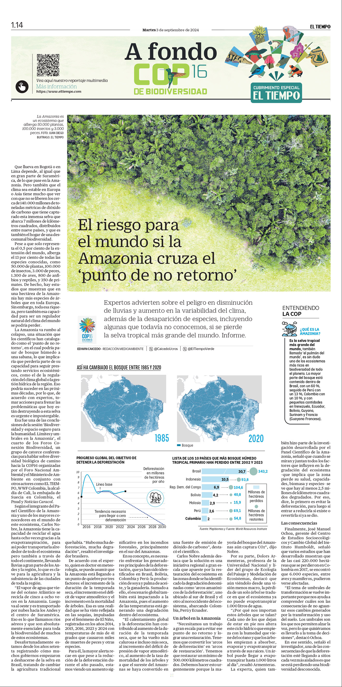 De a poco, la deforestación va destruyendo el bosque virgen de la Amazonia, sin que nada pueda frenarla.
