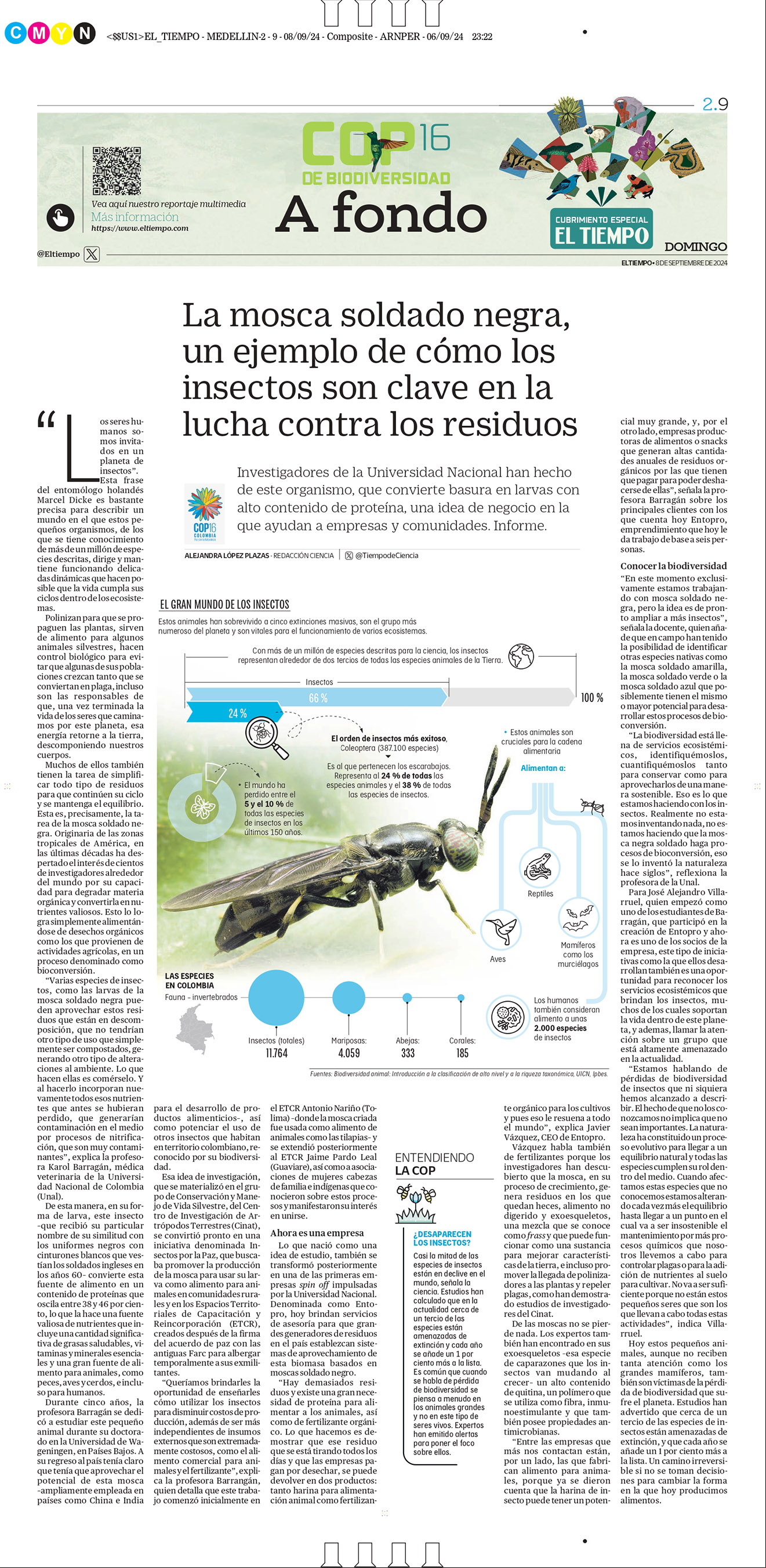De a poco, la deforestación va destruyendo el bosque virgen de la Amazonia, sin que nada pueda frenarla.