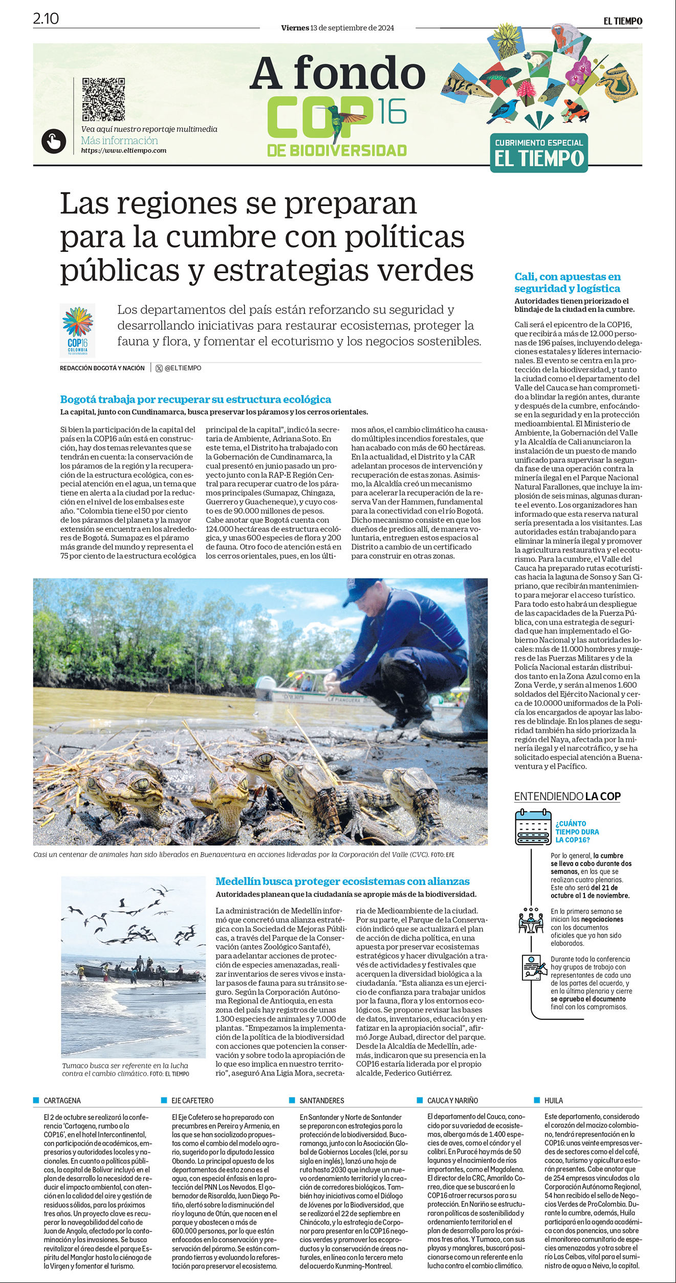 De a poco, la deforestación va destruyendo el bosque virgen de la Amazonia, sin que nada pueda frenarla.