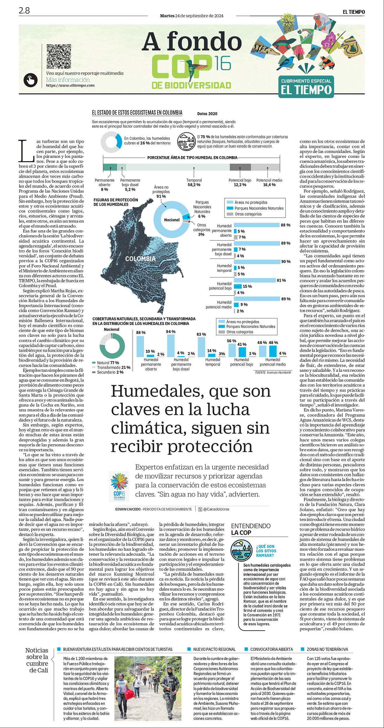 De a poco, la deforestación va destruyendo el bosque virgen de la Amazonia, sin que nada pueda frenarla.