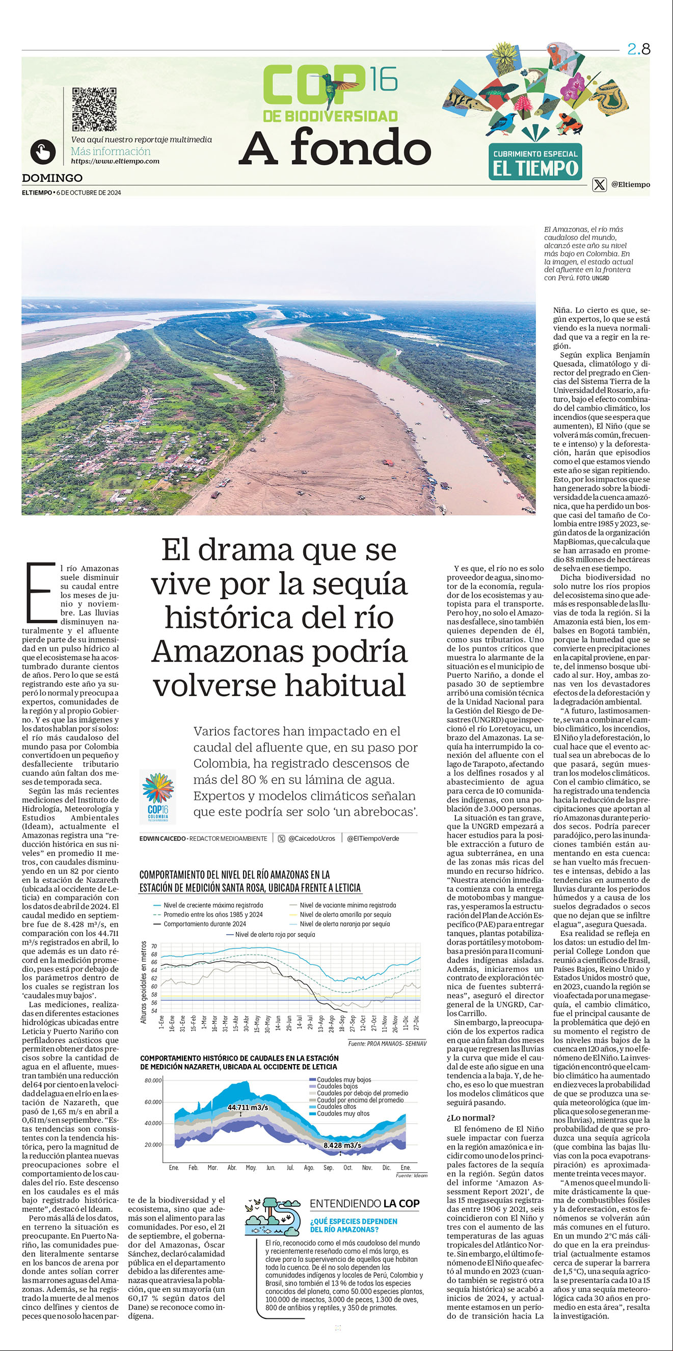 De a poco, la deforestación va destruyendo el bosque virgen de la Amazonia, sin que nada pueda frenarla.
