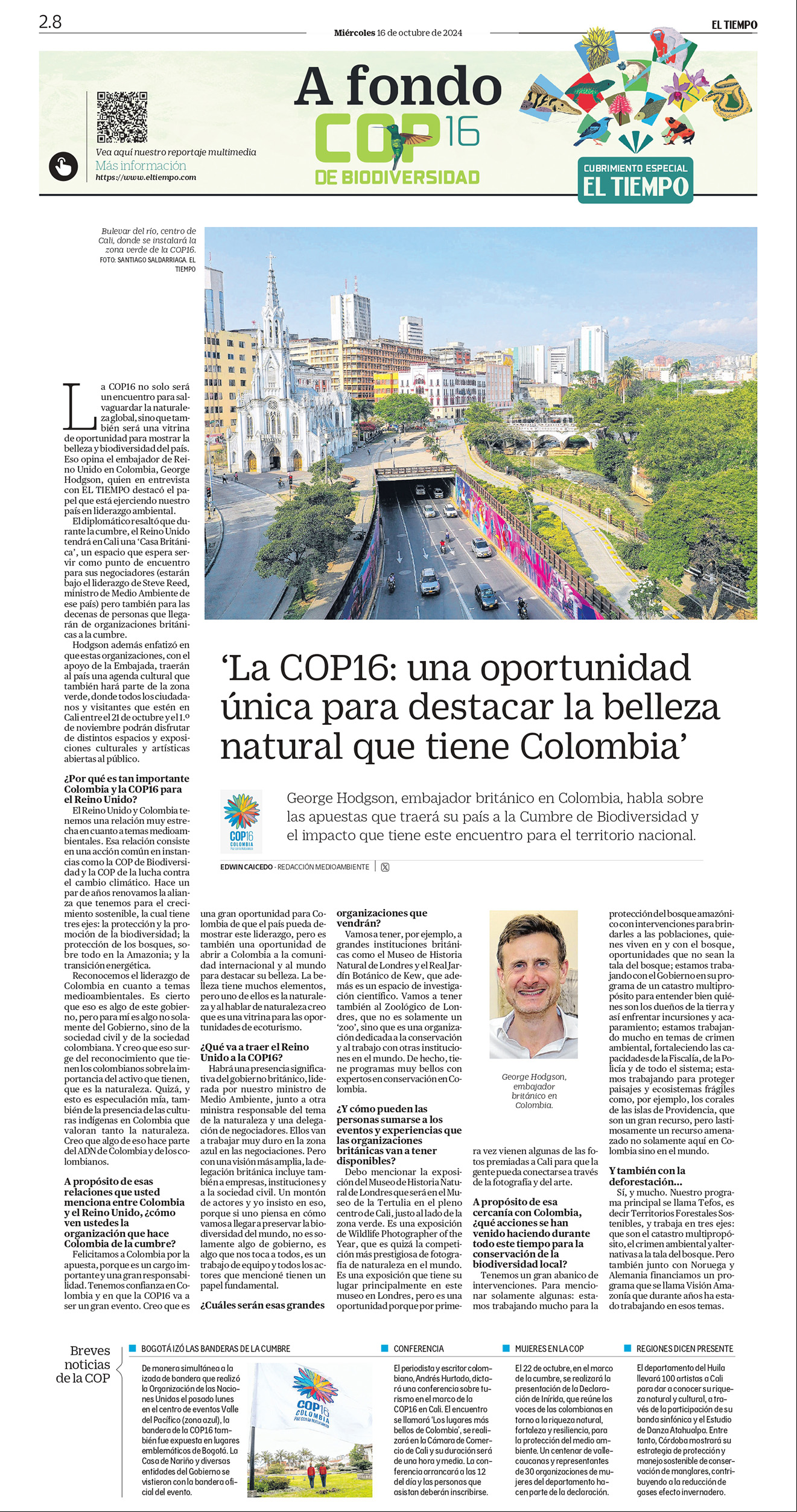 De a poco, la deforestación va destruyendo el bosque virgen de la Amazonia, sin que nada pueda frenarla.